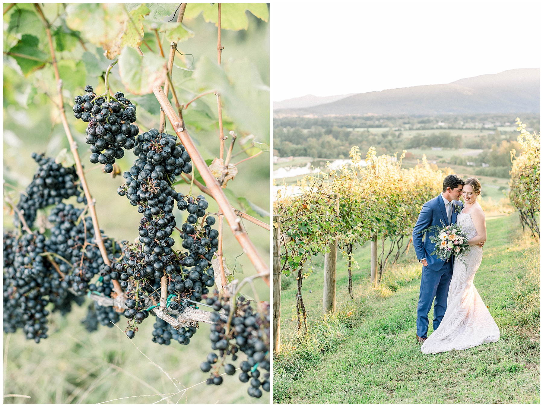 fall vineyard wedding day